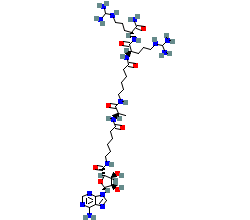 2D structure of the orthosteric ligand